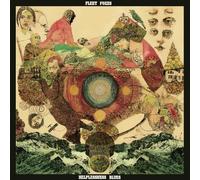 Fleet Foxes - Helplessness Blues
