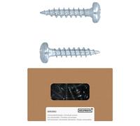 HELPMATE - Lot de 250 vis à bois à tête bombée 4,0 x 20 mm galvanisées - Vis à bois avec entraînement PZ2 et filetage complet - Pour la fixation de ferrures