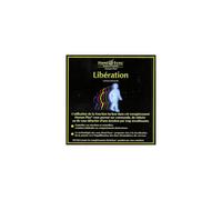 Hemi & Sync & Liberation (French Let & Go)(2cd) - Hemi-Sync Libération