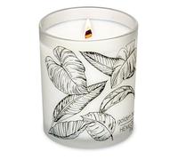 Hemlock Park Bougie à mèche en bois givrée fabriquée à la main avec de la cire de noix de coco naturelle (standard 204,1 g, heure dorée)