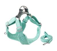 Hemobllo 1 Ensemble Harnais pour Chiens Ajustable avec Laisse Pratique et Résistante à Usure Ensemble pour Chiens de Petite XXS