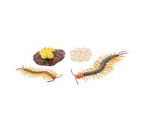 Hemobllo 1 Ensemble Set de Figurines de Cycle de Vie Éducatif pour Apprentissage des Insectes Arthropodes pour Classe Jeu Interactif