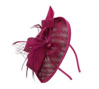 Hemobllo 1 Pièce Bandeau Voilette Tulle avec Fleurs Plumes Accessoire de Cheveux Élégant pour Fête et Mariage