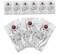 Hemobllo 10 pièces Sachets de Recharge Vin Réutilisables avec Bec Verseur Poche Portable Étanche pour Boissons Pique- Camping Fête Lot
