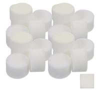 Hemobllo 100 Pièces Bloc Éponge de Plantation Éponge Hydroponique pour Plantules de Haricots, Blanc, Culture de Légumes Verts, Agriculture Moderne, Rapid Breeding, Apporte des Nutriments