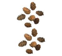 Hemobllo 100pièces Décorations Cônes De Pin pour Accessoires De Photo Et Décoration Rustiques pour Et Ambiance Chic