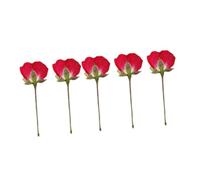Hemobllo 12 Boutons de Roses Séchées Naturelles Fleurs Pressées pour Loisirs Créatifs Matériel Floral DIY Accessoires Faits Main pour Bijoux Cadres Photo et Manucure Décoration Maison