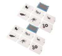 Hemobllo 2 Ensembles Lenticular Animation Toy Set for Early Stem Education Science Experiment Teaching Aids with Visual Illusion and DIY Craft for Children