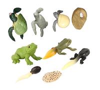 Hemobllo 2 Ensembles Modèles Évolution de Grenouilles et Tortues Réalistes Décoration Éducative pour Garçon Fille Figurines Solides et Détaillées