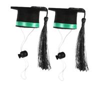 Hemobllo 2 Pièces Chapeaux de Graduation pour Petits Animaux Mini Chapeau de Diplôme Feutre avec Pompon pour Hamster et Autres Animaux de Compagnie Accessoire Photo