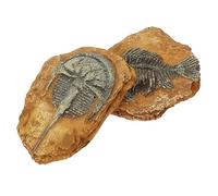 Hemobllo 2 pièces Décor de Terrarium Résine pour Reptiles Simulation de Fossiles pour Créer Un Paysage et Sécure pour Petits Animaux