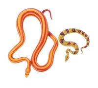 Hemobllo 2 pièces Modèles Réalistes de Serpents Figurines Serpent Décoratives pour Garçon Fille Décoration Miniature pour Jardin et Fête