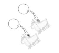 Hemobllo 2 Pièces Porte-clés Boîte Commémorative pour Poils de Chat et Chien Flacon de Rangement Élégant pour Souvenir Animal Coffret Collection Poils Animaux pour Amoureux des Chats et