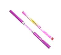 Hemobllo 2 pièces Stylo Nail Art Double Embout Pinceaux Ongles Flexibles pour Dessin Fin et Décoration DIY Brosse Nail Gel Durable pour Salon et Usage Domestique