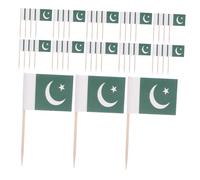 Hemobllo 200 Pièces Drapeau Pakistan Cure-Dents Mini-Drapeaux Décorations Pics Desserts Fruits Légumes Drapeaux Nationaux