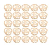 Hemobllo 24 Pièces Jouets à Mâcher Luffa Naturel pour Hamsters Nains et Chinchillas Accessoires Ludiques pour Cage Favorisent Dentaire et du Stress