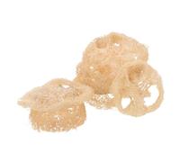 Hemobllo 24 Pièces Lot de Jouets à Mâcher pour Petits Animaux Luffa Naturel Accessoires de Nettoyage Dentaire pour Hamsters Chinchillas et Oiseaux Favorisant Hygiène Buccale Mâchonnement