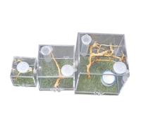 Hemobllo 3Pièces Boîte Alimentation Acrylique pour Insectes Habitat pour Araignées et Petits Reptiles avec Port Alimentation pour et Escargots