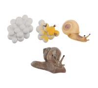 Hemobllo 4 pièces Figurines Cycle de Vie Escargot Décor Éducatif Garçon Fille Jeu Apprentissage et Ornements Réalistes pour Garçon Fille