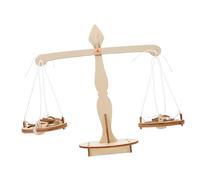 Hemobllo 5 Pièces Jeu de Montage Stem pour Garçon Fille Modèle de Balance à Leviers Portable pour École et Maison Éducatif de Laboratoire de Science