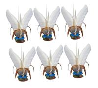 Hemobllo 6 pièces Volants Coup Pied Chinois Traditionnels Plumes Blanches Jeu Fitness Extérieur Intérieur Jouets Rigolos pour Exercices et Multijoueur