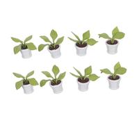 Hemobllo 8 pièces Miniature Bonsai Plants Set Handmade Clay Tiny Potted Greenery for Dollhouse Decoration Realistic Mini Garden Accessories for Collectors and DIY Home Scenes