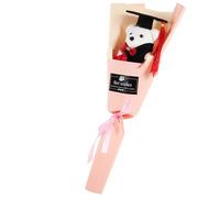 Hemobllo Bouquet Décoratif Ours Peluche Diplômé Cadeau Graduation et Accessoire Photo pour Fête de Remise de Diplôme Ornement Unique et Délicat pour Académique