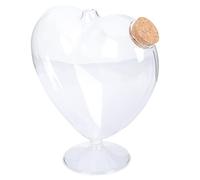 Hemobllo Bouteille de Souhaits Transparente Verre avec Bouchon Bouteille Multifonctionnelle pour Décoration DIY et pour Messages et Plantes