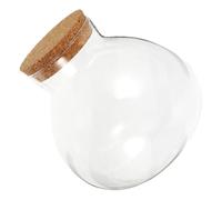 Hemobllo Bouteille Écologique Soi-même Bocal Verre pour Micropaysage Bouteille de Rangement Vide Décoration avec Bouchon Liège