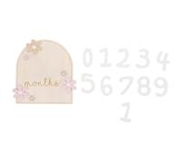 Hemobllo Cartes Étapes Mensuelles en Bois pour -Né Motifs Fleurs Marguerite Panneau D’Annonce de Croissance Bébé Double Face Accessoire Photo Souvenir 1 Pièce pour Suivi Mois de Bébé