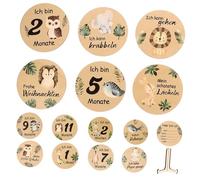 Hemobllo Cartes Mois avec Support Disques de Jalons Mensuels pour Premiers Accessoire Naissance et Décoration Photo Adorable