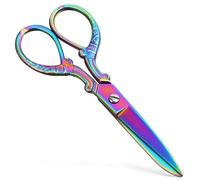 Hemobllo Ciseaux de Couture en Acier Inoxydable Colorés Grosse Taille pour Tissus Épais Ciseaux Professionnels pour Vêtements et Retouches Outil de Coupe Portable Adapté à L'Artisanat