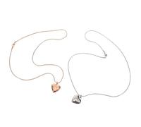Hemobllo Collier Urne pour Chien 2 Pièces en Acier Inoxydable - Pendentif Commémoratif Cœur pour Cendres D’Animaux de Compagnie Médaillon Patte Solide Argenté et Rose Bijou Souvenir