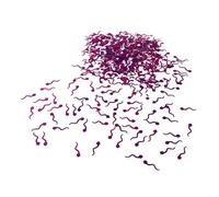 Hemobllo Confettis de Mariage Forme de Têtard Colorés Décoratifs pour sans Fumée Utilisables Intérieur et Extérieur
