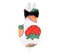 Hemobllo Culotte pour Perroquet Motif Fraise Tenue Légère et Confortable pour Oiseaux de Compagnie Costume de Vol Lavable et Réutilisable Adapté pour Calopsittes Pigeons Couleur Aléatoire