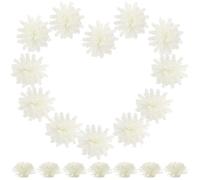 Hemobllo Diffuseur de Fleurs Parfumées Diffuseur D'huiles Essentielles Marguerite Artificielle en PE Blanc, 100pcs Pratique et Élégant pour ou Bureau Décoration Intérieure
