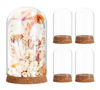 Hemobllo Dôme en Verre Transparent 6x10 Cm Bouchon Liège, Couverture pour Fleur Immortelle, Cloche Décorative en Verre, Lot de 5 Pièces, pour Micro-paysages et Décoration Intérieure
