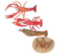 Hemobllo Éducatif Modèle Homard Simulé Cycle Croissance pour Garçon Fille Curiosité Scientifique Apprentissage Réaliste Plastique Sûr