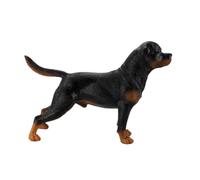 Hemobllo Figurine Chien Plastique Réaliste Modèle Rottweiler Décoratif Éducatif Garçon Fille Cognitif Nature