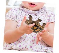 Hemobllo Figurine Tortue Réaliste Décorative Modèle Educatif Petite pour Bureau et Apprentissage Garçon Fille Miniature Tortoise pour Décoration Intérieure et Collection