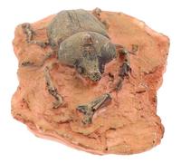 Hemobllo Fossile Paléontologique Insecte Décoratif, Spécimen Compact pour L'enseignement des Sciences, Ornement Éducatif Sécurisé et Portable, Collection Scientifique pour Usage Domestique