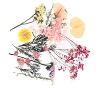 Hemobllo Kit de Fleurs Séchées Naturelles Fleurs Soi-même Bricolage DIY Moulage Cristal Stickers Visage Saint-Valentin