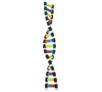 Hemobllo Kit De Modèle Moléculaire à Double pour Éducation Scientifique Composants Amovibles pour Étudiants Outil Exploration Moléculaire Intérêt