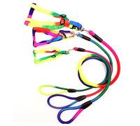 Hemobllo Laisse Chien Durable avec Harnais pour Promenade Active Corde Traction Colorée Accessoires pour Petits et Moyens Chiens