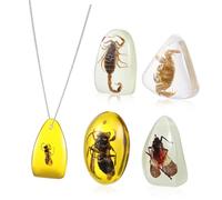 Hemobllo Lot de 5 Pendentifs Ambre en Résine Insectes Perles pour Bijoux Faits Main Couleurs Aléatoires pour Bracelets et Colliers Échantillons D'insectes pour Collection Style Aléatoire