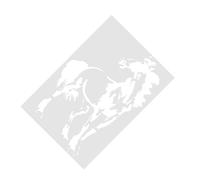 Hemobllo Lot de 5 Pochoirs de Peinture en Plastique Creux, Motifs Chevaux, Réutilisables, pour Dessin, Scrapbooking, Décoration Murale et Peinture sur Tissu, Outils DIY Créatifs