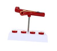 Hemobllo Modèle Anatomique Cardiovasculaire PVC pour Enseignement Représentation Réaliste des Vaisseaux Sanguins Outil Éducatif pour Démonstration et Apprentissage