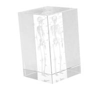 Hemobllo Modèle Anatomique Cristal Gravé avec Squelette Détaillé Décoration Polyvalente pour Bureau et Maison Outil Éducatif pour Étudiants Médecine et Professionnels de Santé