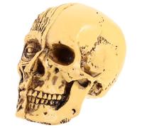 Hemobllo Modèle Anatomique de Crâne Humain Adulte en Résine Réaliste Modèle Pédagogique d'Anatomie du Crâne pour Enseignement Décoration Réaliste pour Étude et Recherche