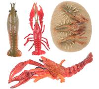 Hemobllo Modèle de Croissance de Homard Educatif Réaliste Plastique pour Garçon Fille Développement Cognitif Cycle de Vie Animalier